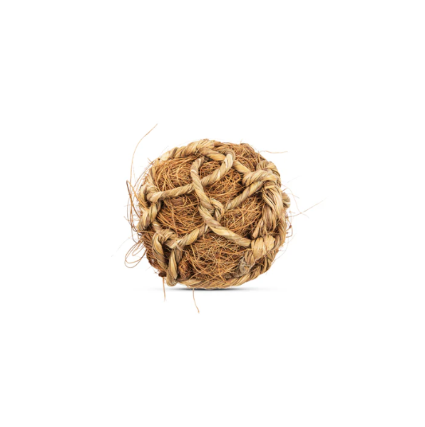 Chew and Coconut Ball Toys